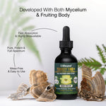 Lifecykel Turkey Tail Double Extract Mushroom Extract 120ml