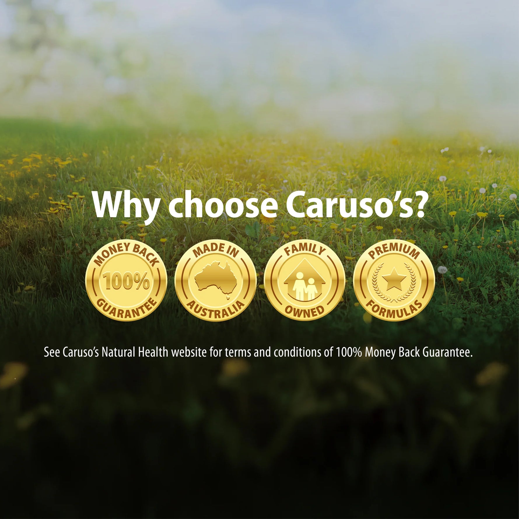 Carusos Vitamin K2 + D3 + Magnesium Kit